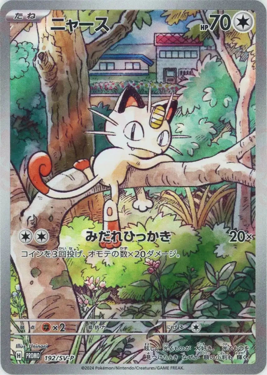 喵喵