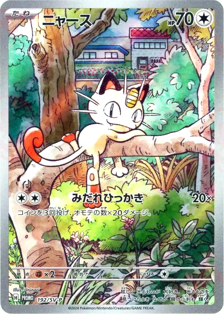 喵喵